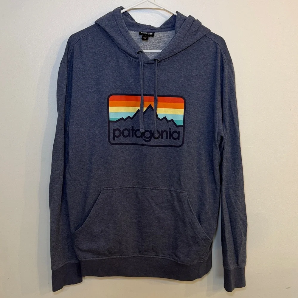 Patagonia Logo Hoodie Lightweight Organic Cotton Size Medium - Picture 1 of 5